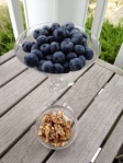 blueberries and walnuts