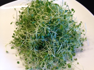 watercress-sprouts